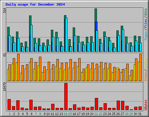 Daily usage for December 2024