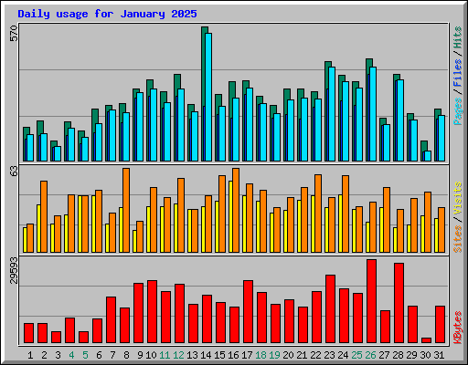 Daily usage for January 2025