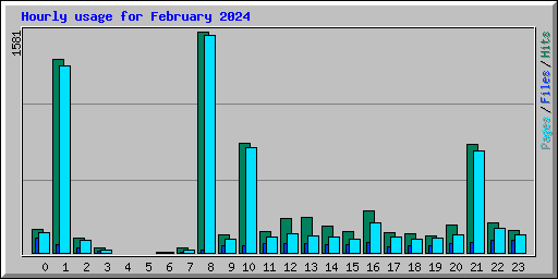 Hourly usage for February 2024