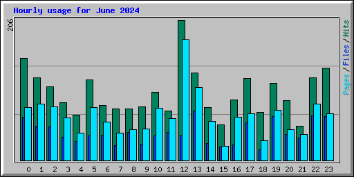 Hourly usage for June 2024