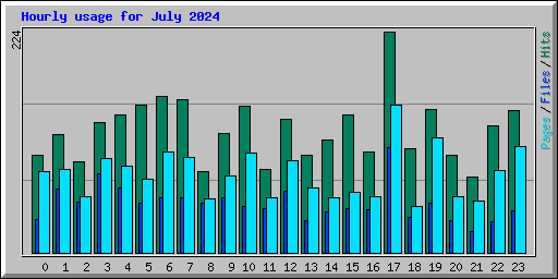 Hourly usage for July 2024