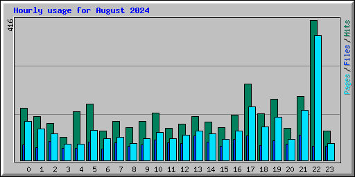 Hourly usage for August 2024