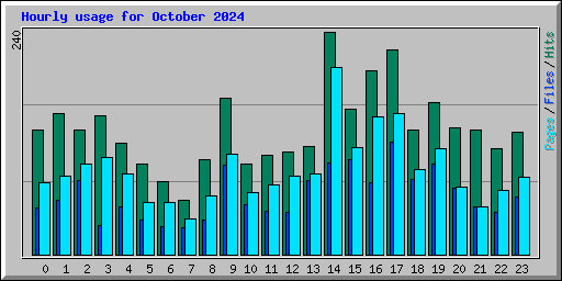 Hourly usage for October 2024