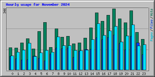 Hourly usage for November 2024