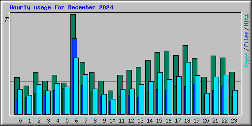 Hourly usage for December 2024