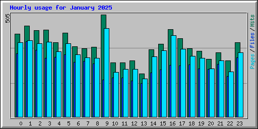 Hourly usage for January 2025
