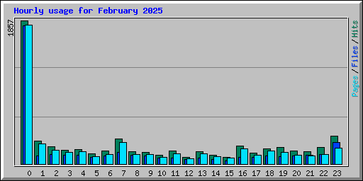 Hourly usage for February 2025