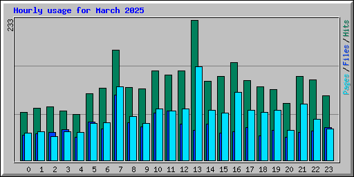 Hourly usage for March 2025