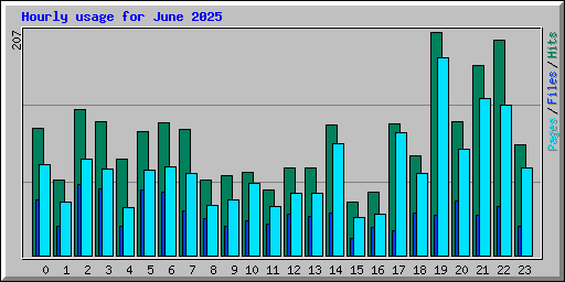 Hourly usage for June 2025