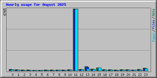 Hourly usage for August 2025