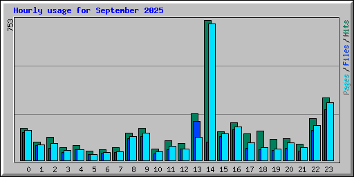 Hourly usage for September 2025