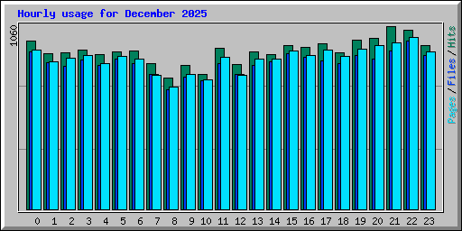 Hourly usage for December 2025