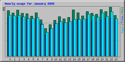 Hourly usage for January 2026